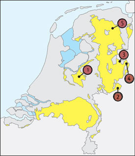 De beekdalen op het lage zand